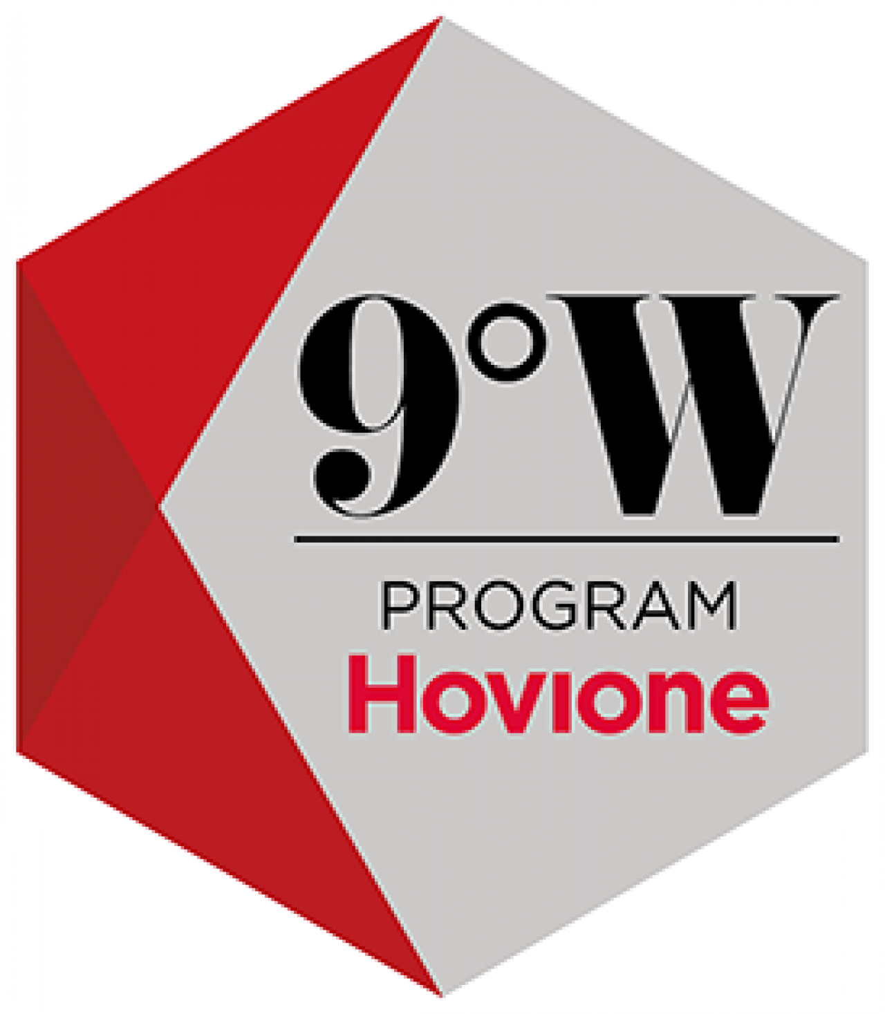 hovione-9-degress-west-logo