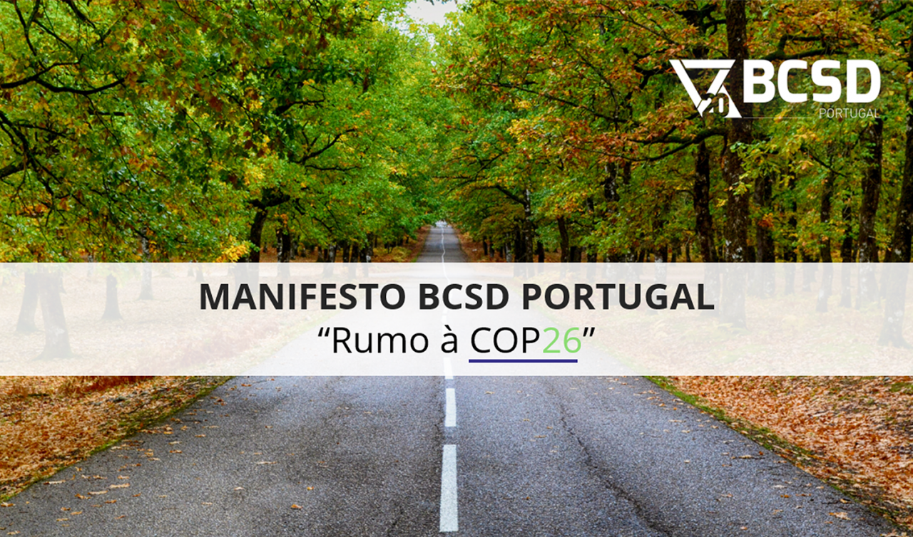 rumo a cop26 - estrada ladeada de copas de arvores e logotipo BCSD Portugal